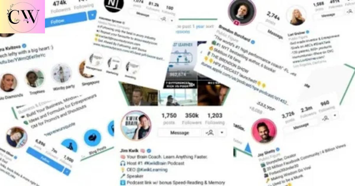 best_1550_vip_instagram_bio_ideas_to_make_your_profile_stand_out
