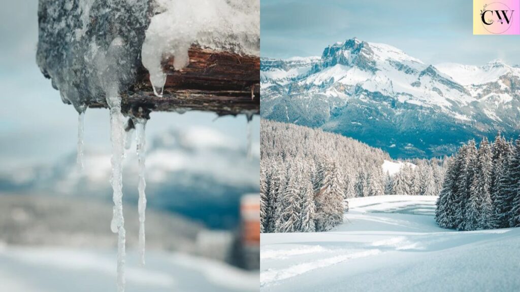 how_january_dump_captions_make_my_instagram_feed_better