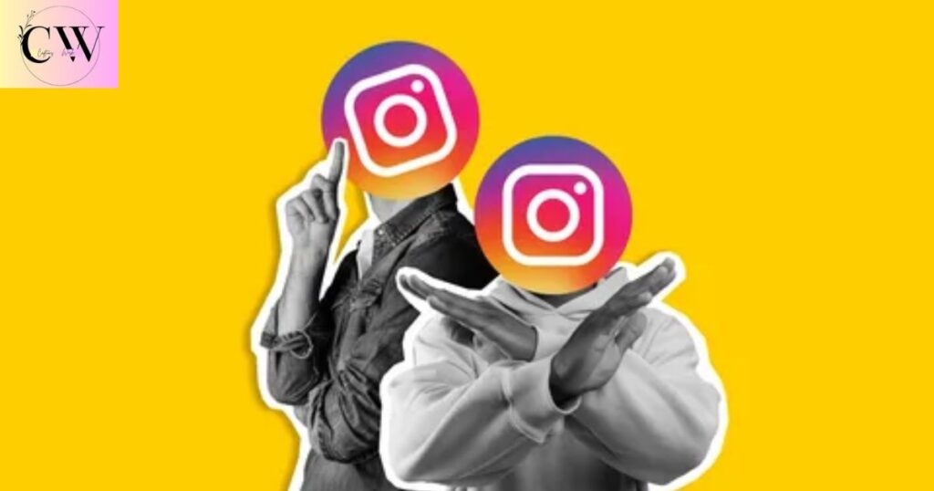 vip_instagram_bio_attitude