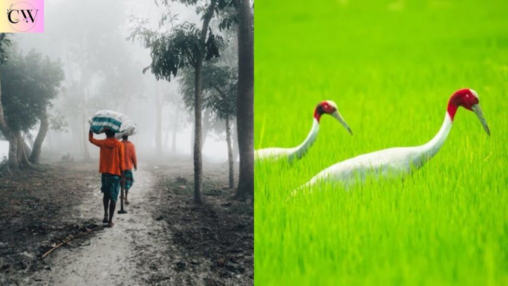best_jaat_bio_for_instagram