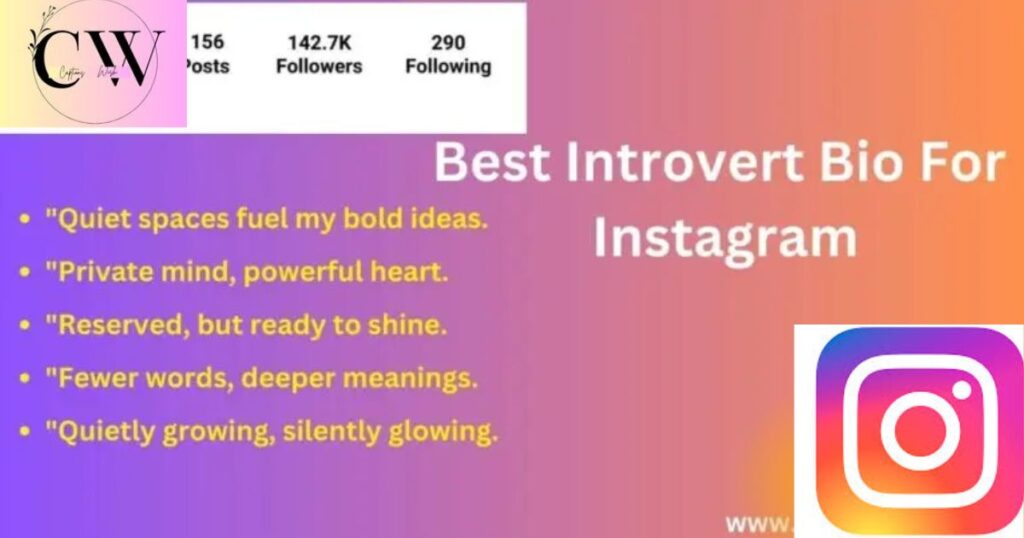one_word_introvert_bio_for_instagram