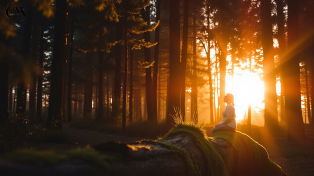 sunshine-captions-for-nature-lovers